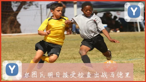 库尔图瓦明日接受检查出战马德里德比前景不明引发关注